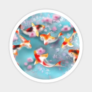 Sakura and koi carp in aqua pond Magnet